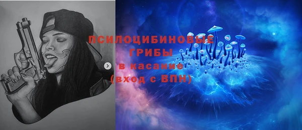 прущий лед Арсеньев